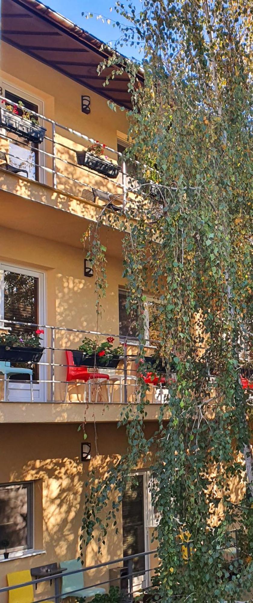 Vila Sia Bucureşti Ngoại thất bức ảnh