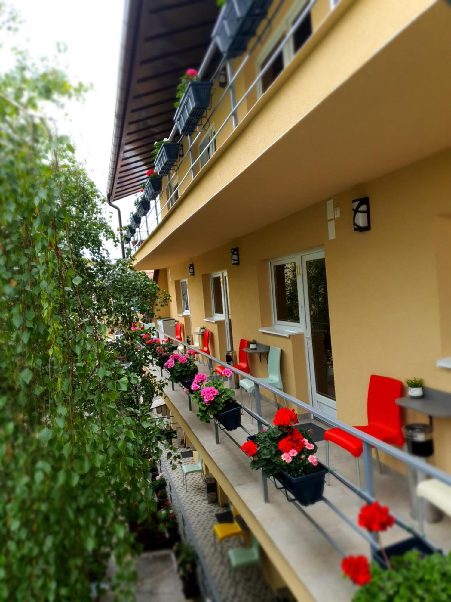 Vila Sia Bucureşti Ngoại thất bức ảnh