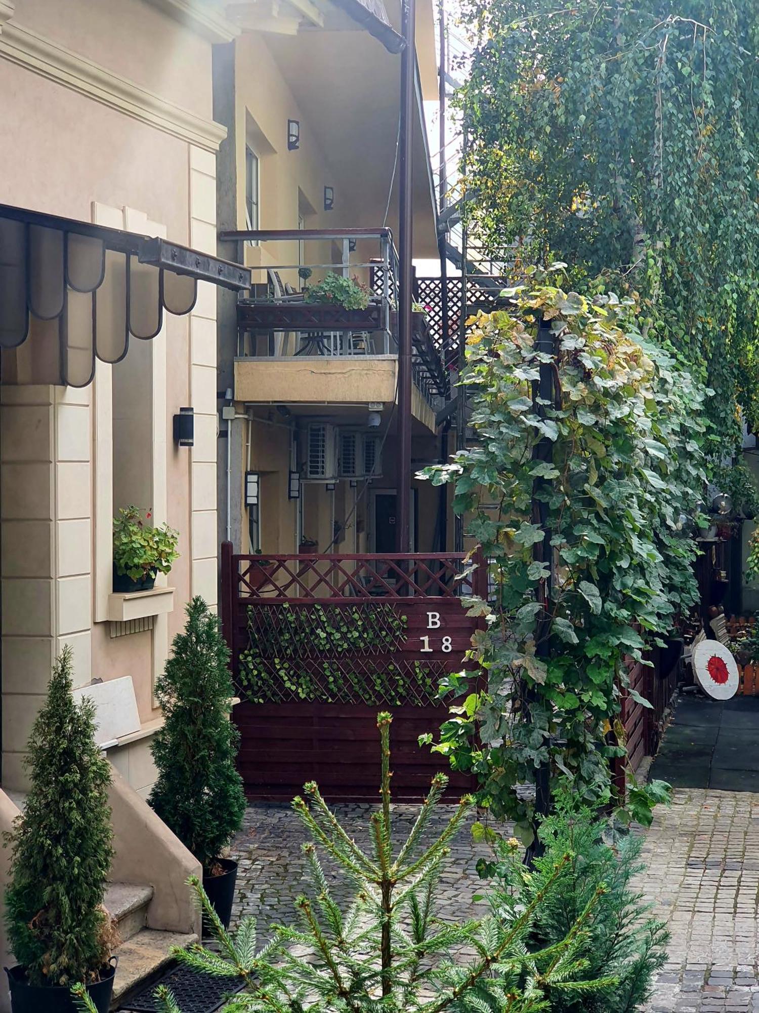Vila Sia Bucureşti Ngoại thất bức ảnh