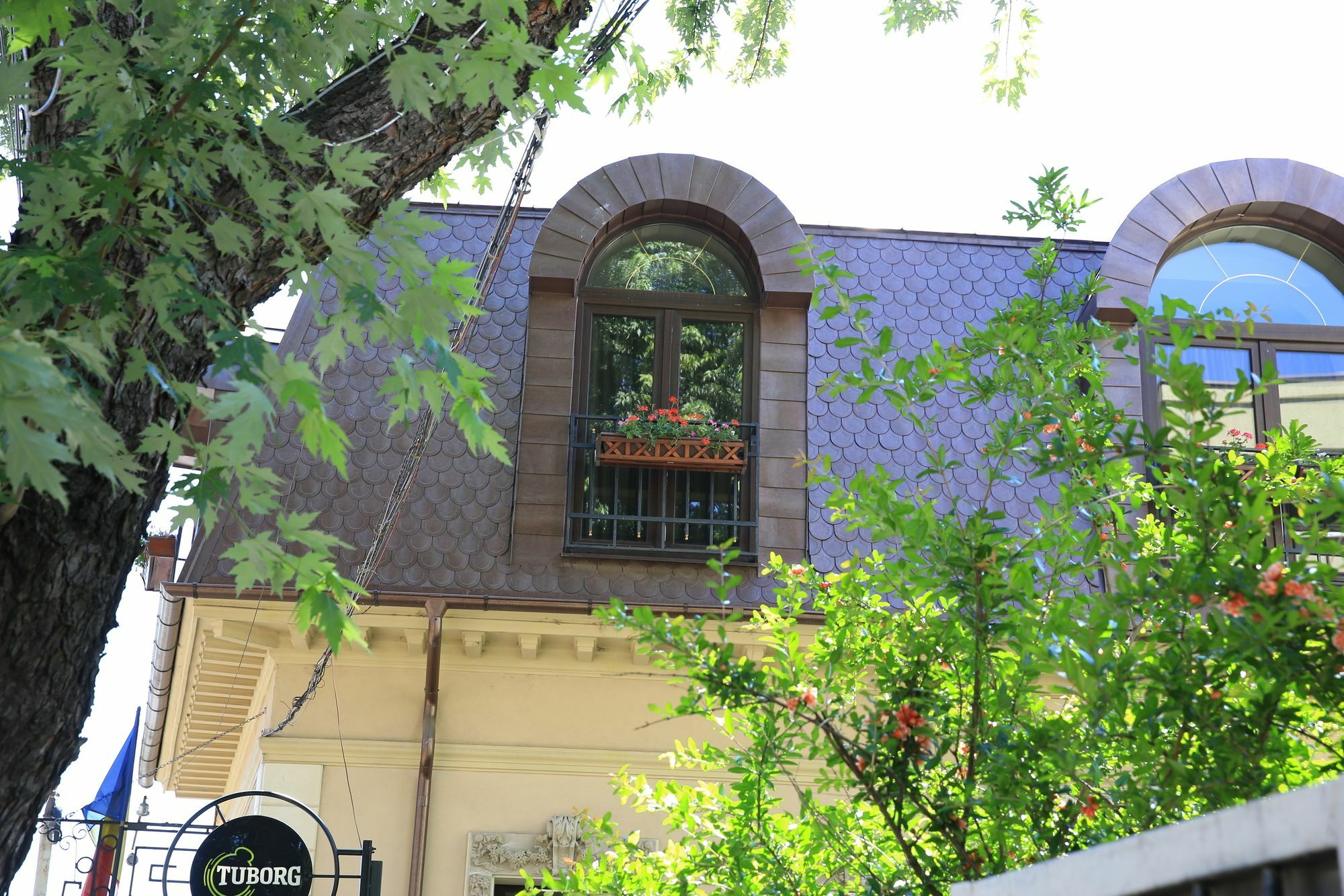 Vila Sia Bucureşti Ngoại thất bức ảnh